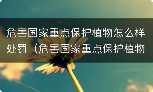 危害国家重点保护植物怎么样处罚（危害国家重点保护植物怎么样处罚的）