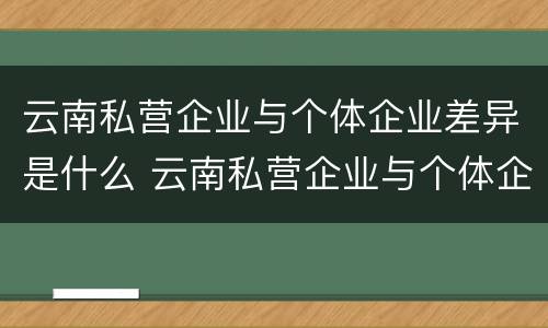 云南私营企业与个体企业差异是什么 云南私营企业与个体企业差异是什么原因