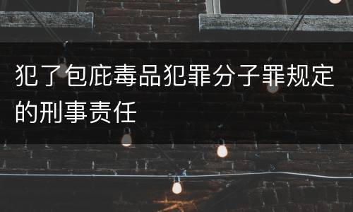 犯了包庇毒品犯罪分子罪规定的刑事责任