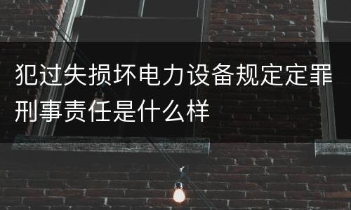 犯过失损坏电力设备规定定罪刑事责任是什么样