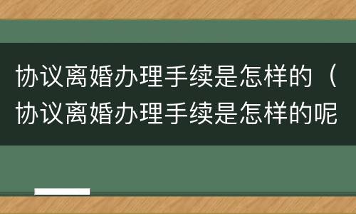 协议离婚办理手续是怎样的（协议离婚办理手续是怎样的呢）