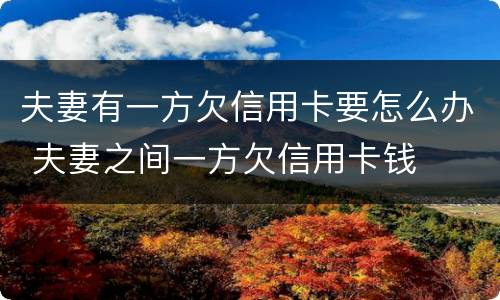 夫妻有一方欠信用卡要怎么办 夫妻之间一方欠信用卡钱
