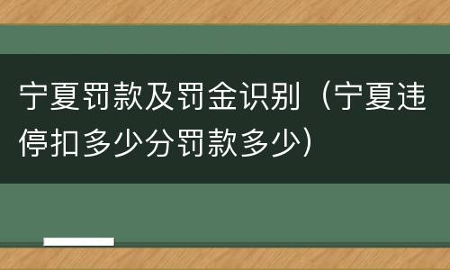 宁夏罚款及罚金识别（宁夏违停扣多少分罚款多少）