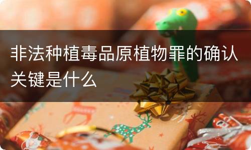非法种植毒品原植物罪的确认关键是什么