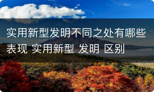 实用新型发明不同之处有哪些表现 实用新型 发明 区别