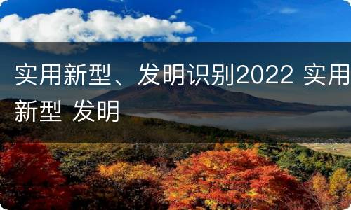 实用新型、发明识别2022 实用新型 发明