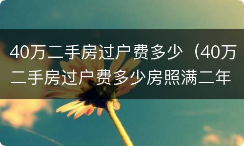 40万二手房过户费多少（40万二手房过户费多少房照满二年）
