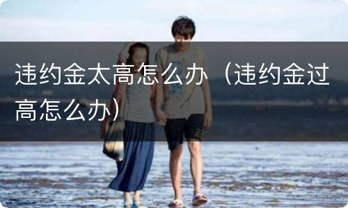 违约金太高怎么办（违约金过高怎么办）