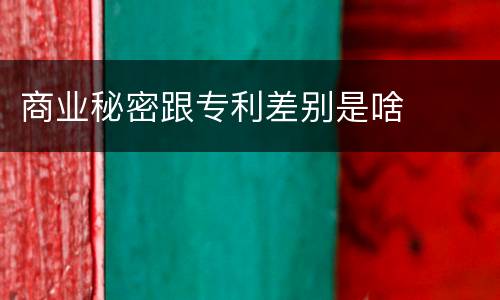 商业秘密跟专利差别是啥