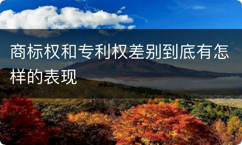 商标权和专利权差别到底有怎样的表现