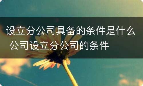 设立分公司具备的条件是什么 公司设立分公司的条件
