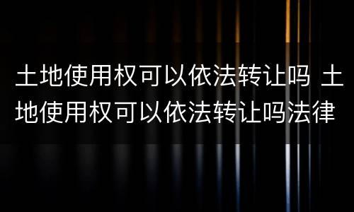 土地使用权可以依法转让吗 土地使用权可以依法转让吗法律规定