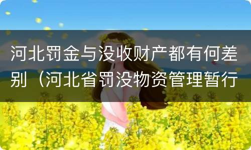 河北罚金与没收财产都有何差别（河北省罚没物资管理暂行办法）