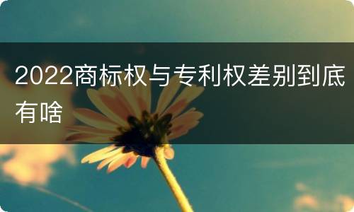 2022商标权与专利权差别到底有啥