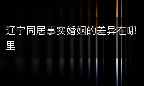 辽宁同居事实婚姻的差异在哪里
