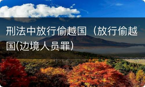 刑法中放行偷越国（放行偷越国(边境人员罪）