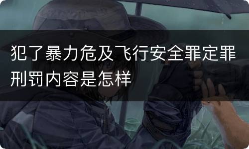 犯了暴力危及飞行安全罪定罪刑罚内容是怎样