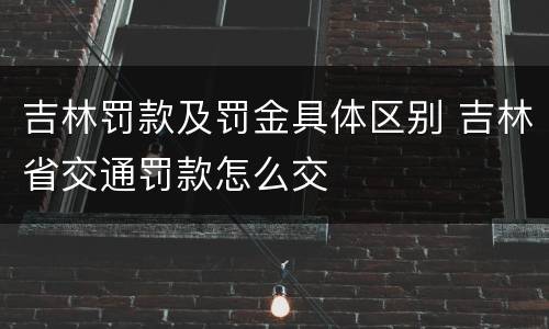吉林罚款及罚金具体区别 吉林省交通罚款怎么交