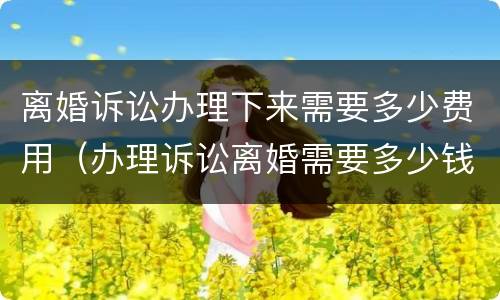 离婚诉讼办理下来需要多少费用（办理诉讼离婚需要多少钱）
