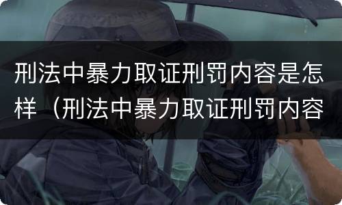 刑法中暴力取证刑罚内容是怎样（刑法中暴力取证刑罚内容是怎样写的）