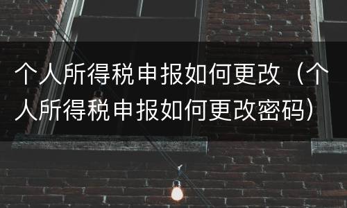 个人所得税申报如何更改（个人所得税申报如何更改密码）