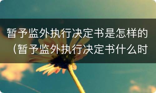 暂予监外执行决定书是怎样的（暂予监外执行决定书什么时候生效）