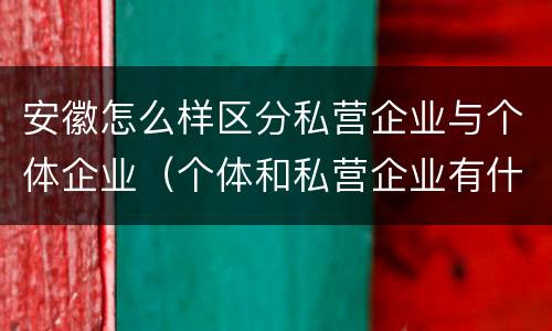 安徽怎么样区分私营企业与个体企业（个体和私营企业有什么区别）