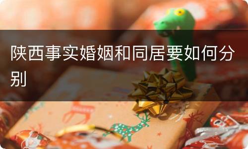 陕西事实婚姻和同居要如何分别