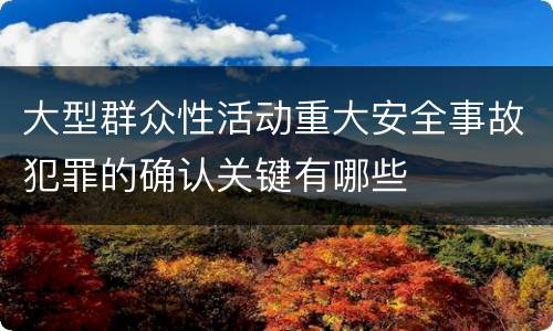 大型群众性活动重大安全事故犯罪的确认关键有哪些