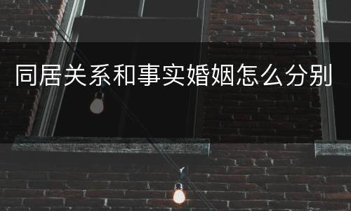 同居关系和事实婚姻怎么分别