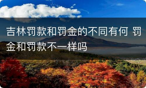 吉林罚款和罚金的不同有何 罚金和罚款不一样吗