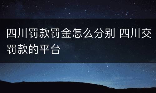 四川罚款罚金怎么分别 四川交罚款的平台