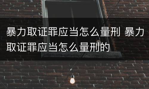 暴力取证罪应当怎么量刑 暴力取证罪应当怎么量刑的