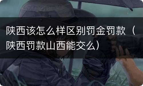 陕西该怎么样区别罚金罚款（陕西罚款山西能交么）