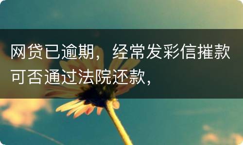 网贷已逾期，经常发彩信摧款可否通过法院还款，