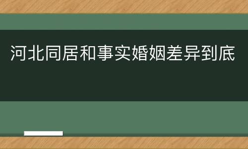 河北同居和事实婚姻差异到底