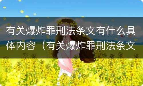 有关爆炸罪刑法条文有什么具体内容（有关爆炸罪刑法条文有什么具体内容）