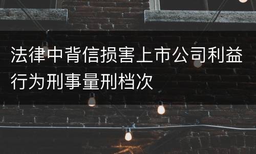 法律中背信损害上市公司利益行为刑事量刑档次