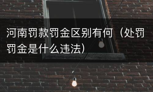 河南罚款罚金区别有何（处罚罚金是什么违法）