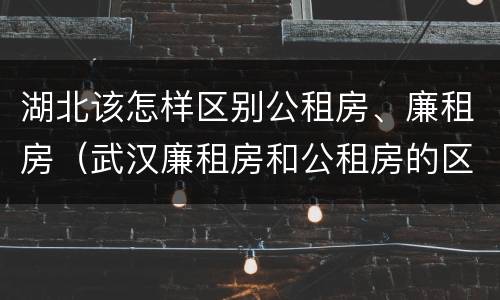湖北该怎样区别公租房、廉租房（武汉廉租房和公租房的区别）