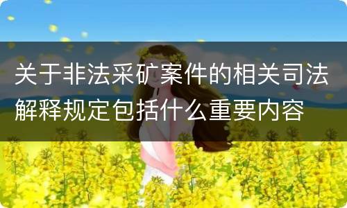 关于非法采矿案件的相关司法解释规定包括什么重要内容