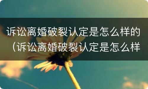诉讼离婚破裂认定是怎么样的（诉讼离婚破裂认定是怎么样的案件）