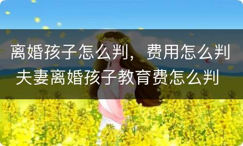离婚孩子怎么判，费用怎么判 夫妻离婚孩子教育费怎么判