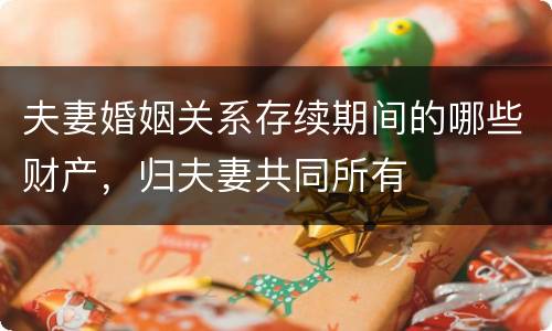 夫妻婚姻关系存续期间的哪些财产，归夫妻共同所有