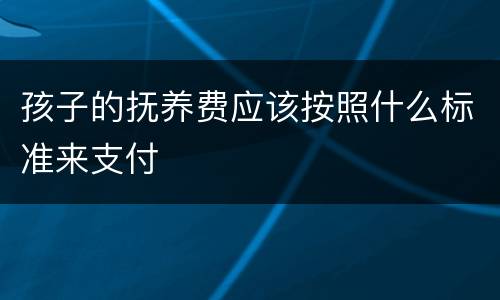 孩子的抚养费应该按照什么标准来支付