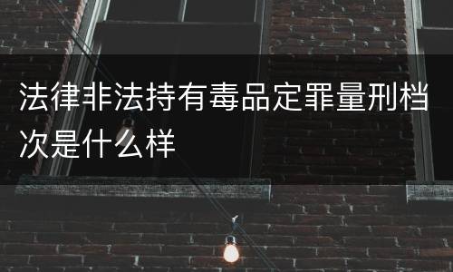 法律非法持有毒品定罪量刑档次是什么样
