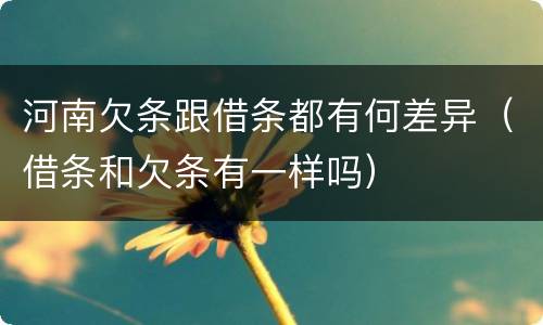 河南欠条跟借条都有何差异（借条和欠条有一样吗）