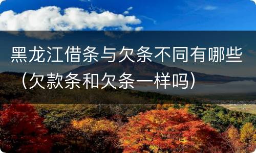 黑龙江借条与欠条不同有哪些（欠款条和欠条一样吗）
