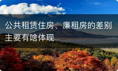 公共租赁住房、廉租房的差别主要有啥体现