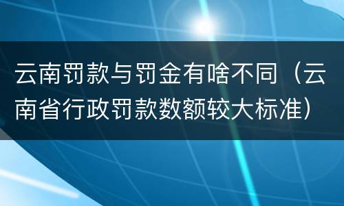云南罚款与罚金有啥不同（云南省行政罚款数额较大标准）